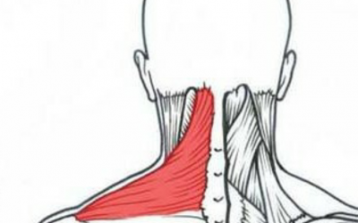 4 ejercicios para mejorar el cuello