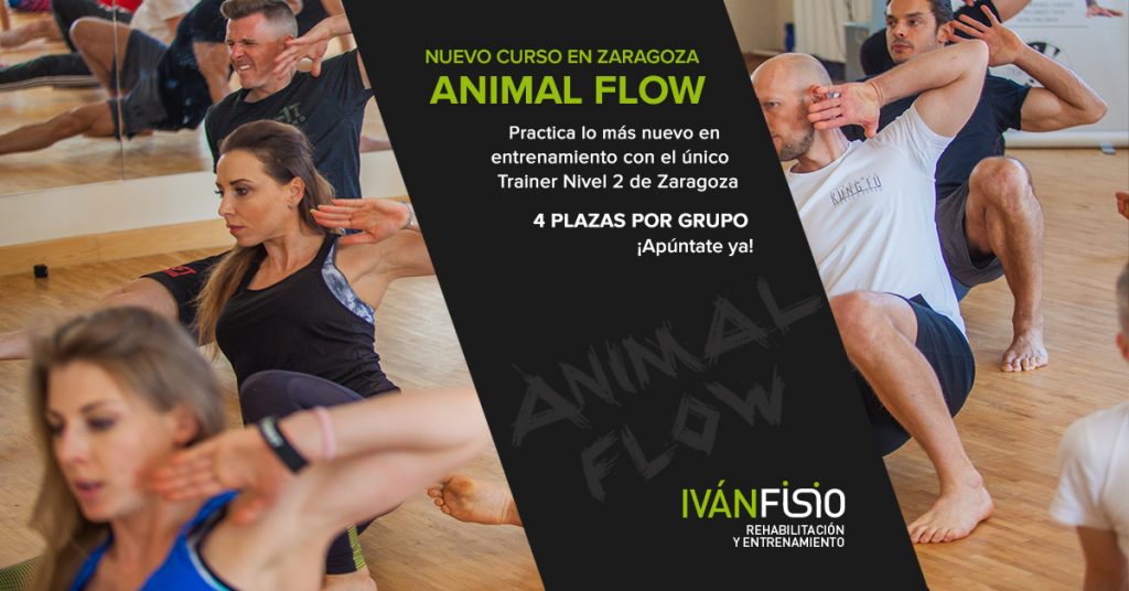Cursos Animal Flow en Zaragoza con Iván Fisio